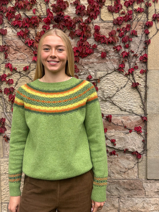 Harley Of Scotland Supersoft Yoke Sweater In Foliage 25