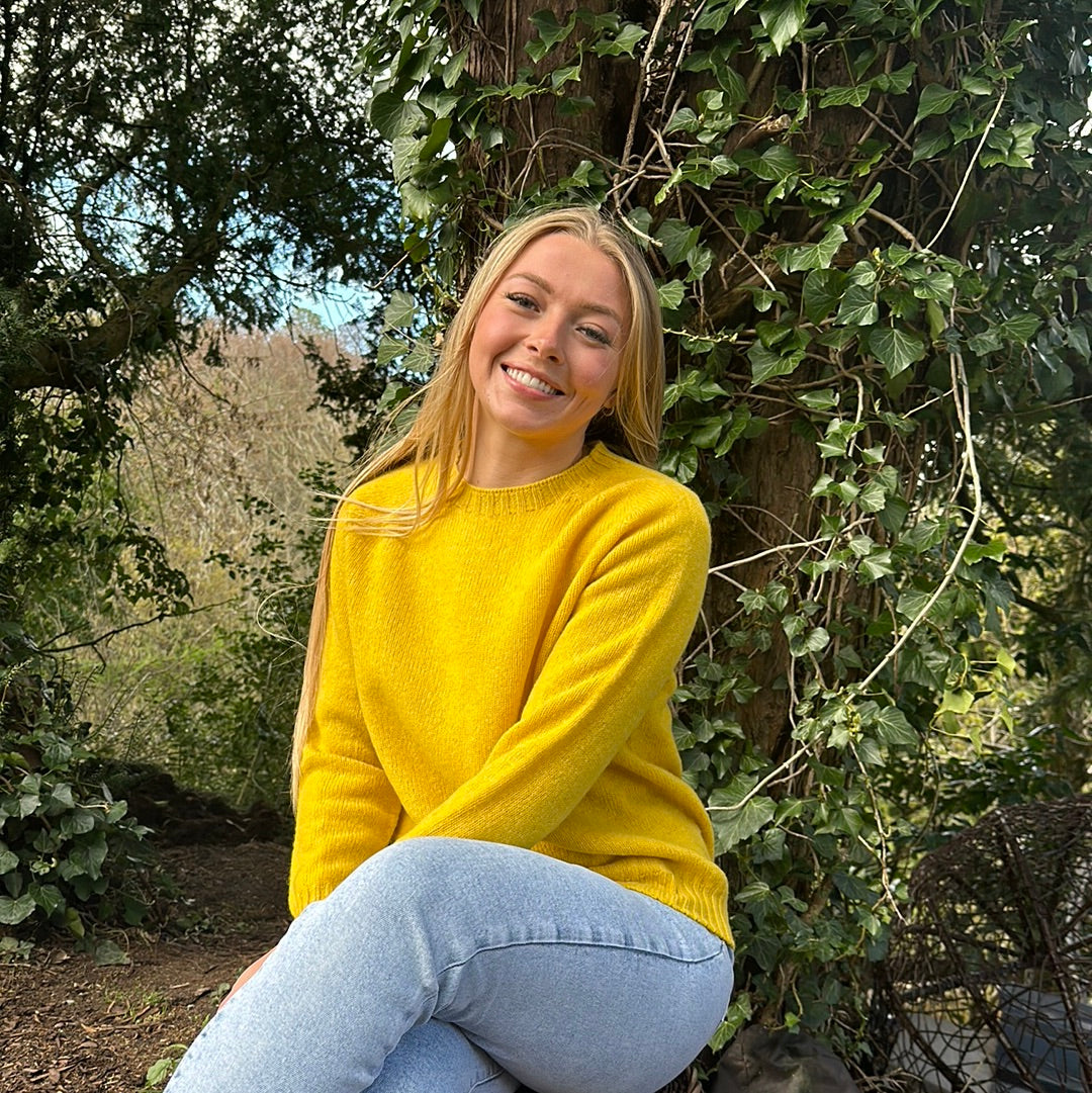 Gorse Flower New Harley Of Scotland Crew Neck Sweater