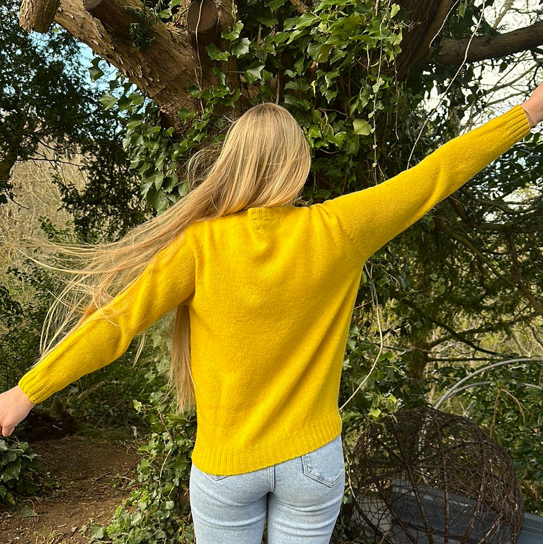 Gorse Flower New Harley Of Scotland Crew Neck Sweater