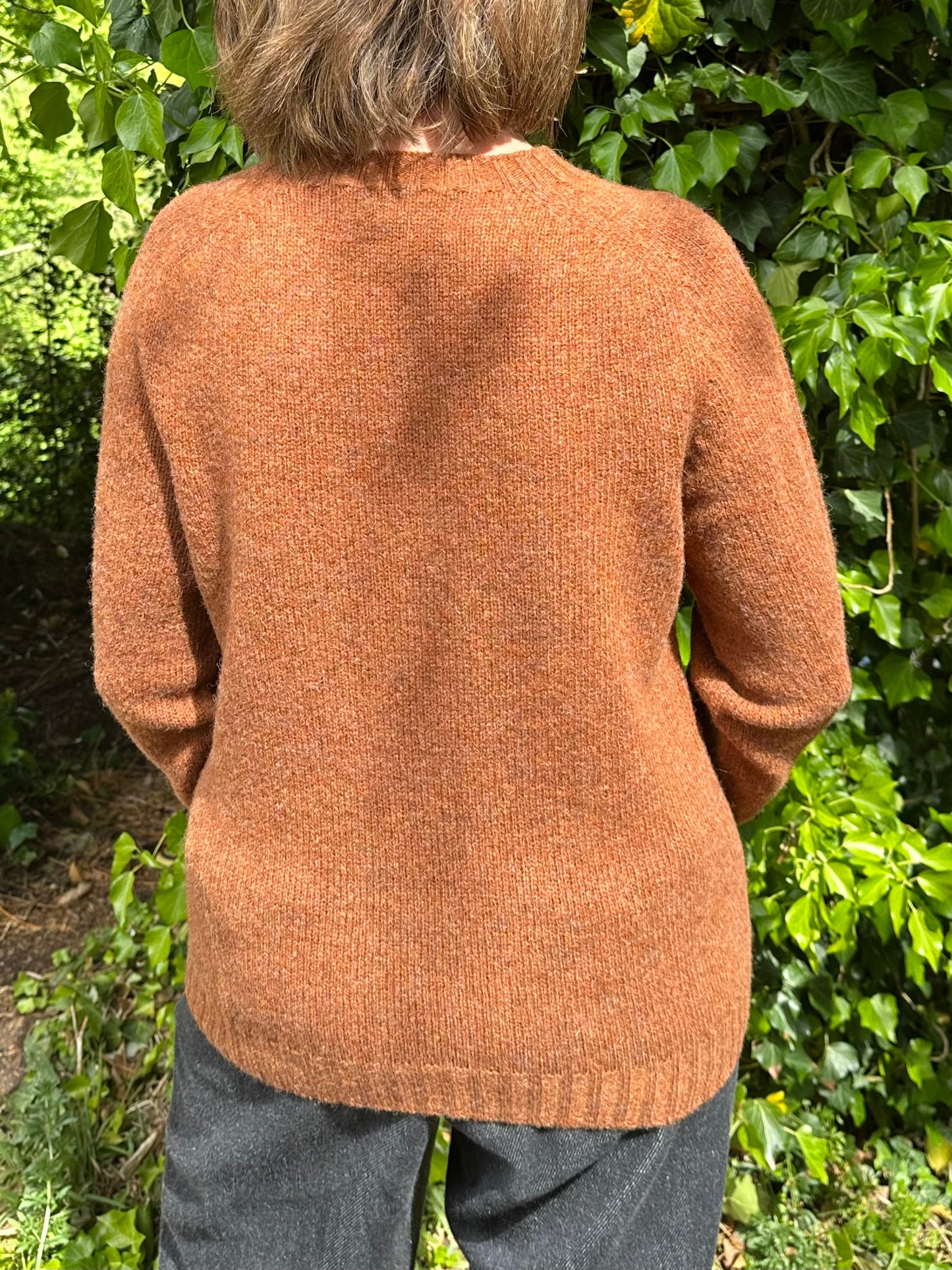 New Harley Of Scotland Crew Neck Sweater In Whisky