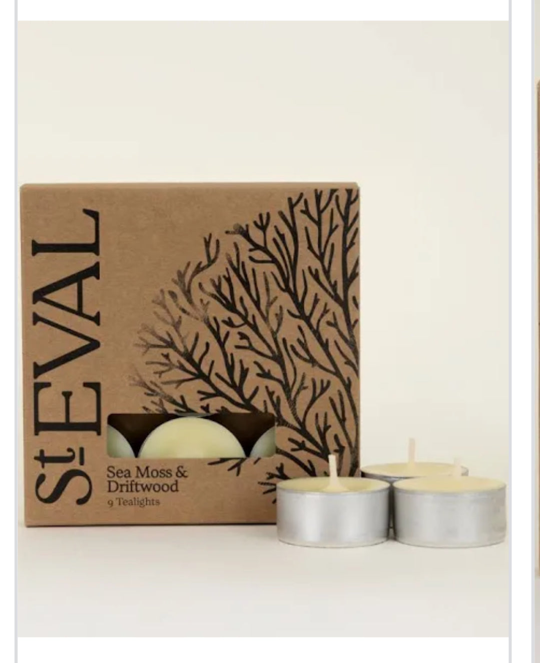 St Eval Sea Moss & Driftwood Tealights
